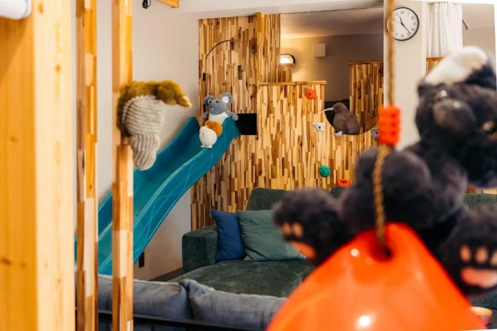 メガボックス建築事例：「山梨県」お子様も大人も喜ぶ遊び心が詰まった宿（宿泊施設）「MEGABOX」