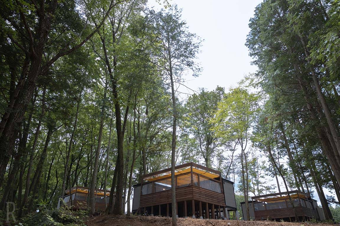 都会では味わえないこの雰囲気はかけがえのないもの